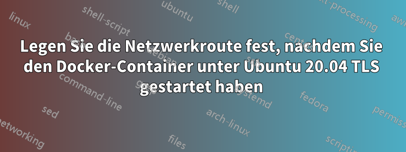 Legen Sie die Netzwerkroute fest, nachdem Sie den Docker-Container unter Ubuntu 20.04 TLS gestartet haben