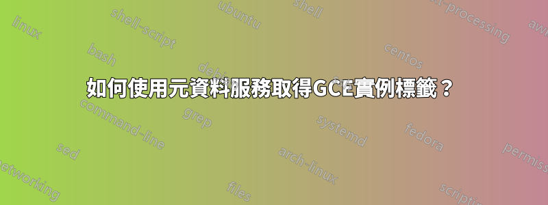 如何使用元資料服務取得GCE實例標籤？