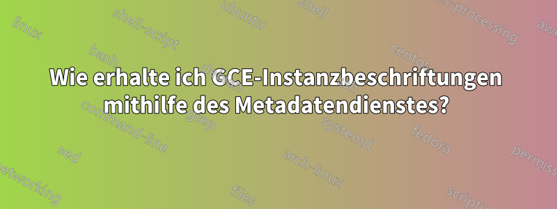 Wie erhalte ich GCE-Instanzbeschriftungen mithilfe des Metadatendienstes?