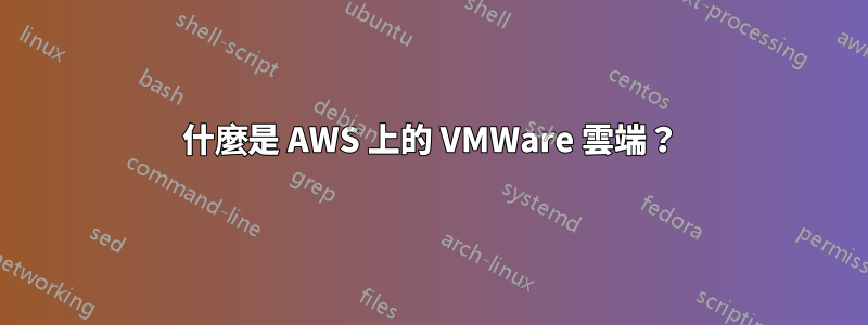 什麼是 AWS 上的 VMWare 雲端？