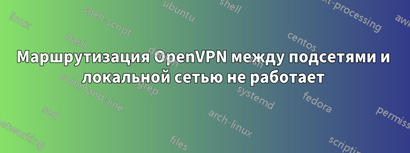 Маршрутизация OpenVPN между подсетями и локальной сетью не работает