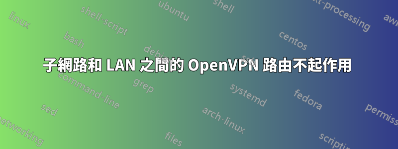 子網路和 LAN 之間的 OpenVPN 路由不起作用