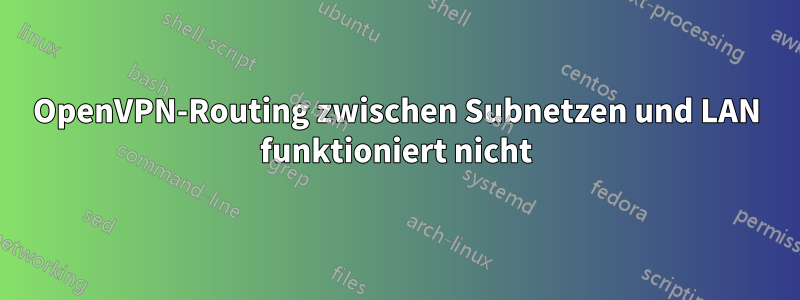 OpenVPN-Routing zwischen Subnetzen und LAN funktioniert nicht