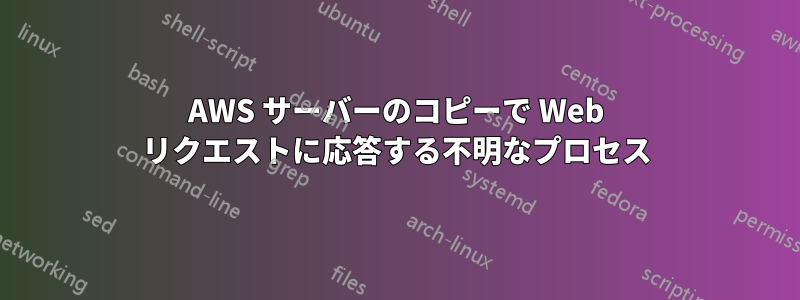 AWS サーバーのコピーで Web リクエストに応答する不明なプロセス