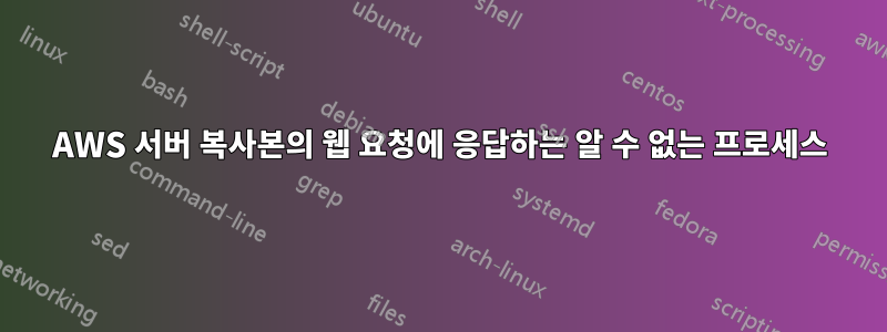AWS 서버 복사본의 웹 요청에 응답하는 알 수 없는 프로세스