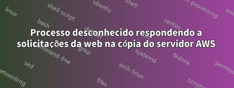 Processo desconhecido respondendo a solicitações da web na cópia do servidor AWS