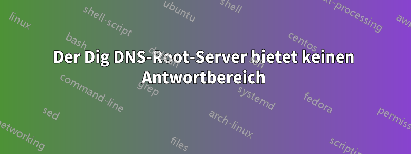 Der Dig DNS-Root-Server bietet keinen Antwortbereich
