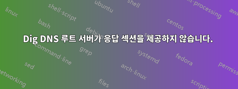 Dig DNS 루트 서버가 응답 섹션을 제공하지 않습니다.