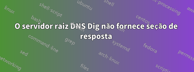 O servidor raiz DNS Dig não fornece seção de resposta