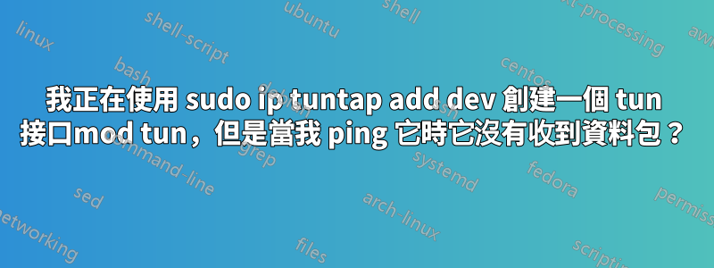 我正在使用 sudo ip tuntap add dev 創建一個 tun 接口mod tun，但是當我 ping 它時它沒有收到資料包？
