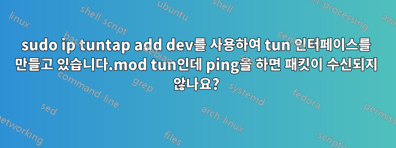 sudo ip tuntap add dev를 사용하여 tun 인터페이스를 만들고 있습니다.mod tun인데 ping을 하면 패킷이 수신되지 않나요?