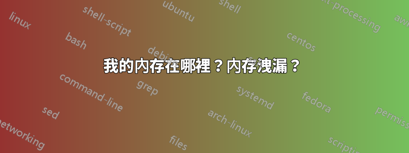 我的內存在哪裡？內存洩漏？
