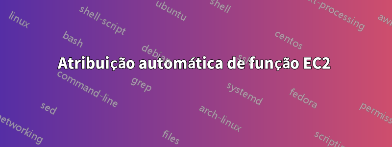 Atribuição automática de função EC2