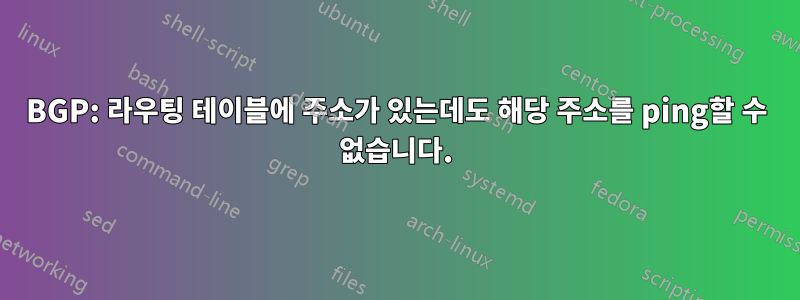 BGP: 라우팅 테이블에 주소가 있는데도 해당 주소를 ping할 수 없습니다.