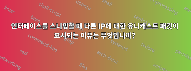 인터페이스를 스니핑할 때 다른 IP에 대한 유니캐스트 패킷이 표시되는 이유는 무엇입니까?