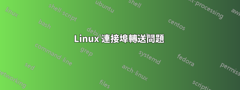 Linux 連接埠轉送問題