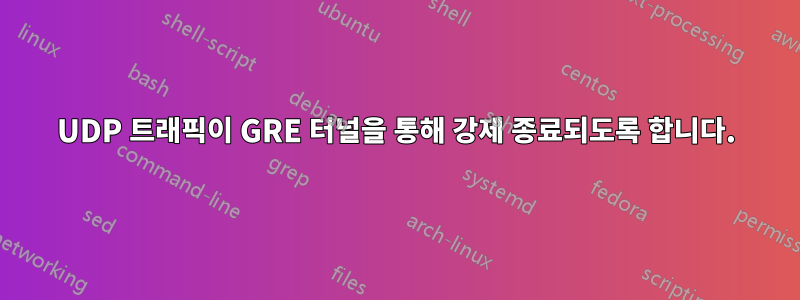 UDP 트래픽이 GRE 터널을 통해 강제 종료되도록 합니다.
