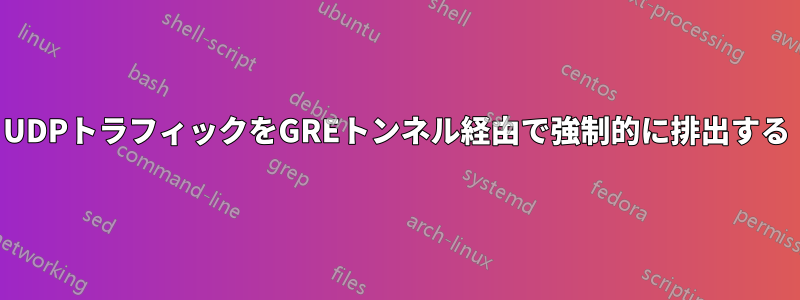 UDPトラフィックをGREトンネル経由で強制的に排出する