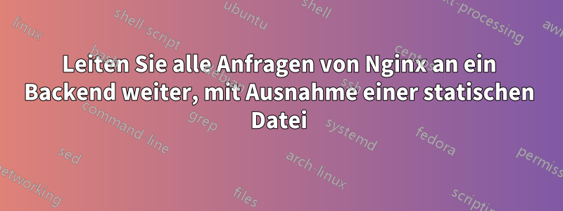 Leiten Sie alle Anfragen von Nginx an ein Backend weiter, mit Ausnahme einer statischen Datei