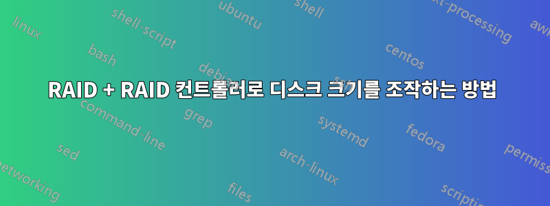 RAID + RAID 컨트롤러로 디스크 크기를 조작하는 방법