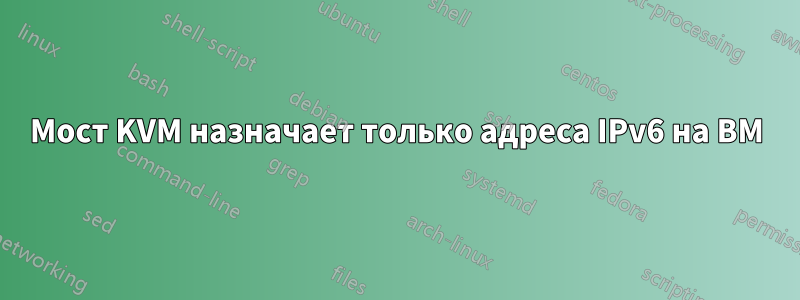 Мост KVM назначает только адреса IPv6 на ВМ