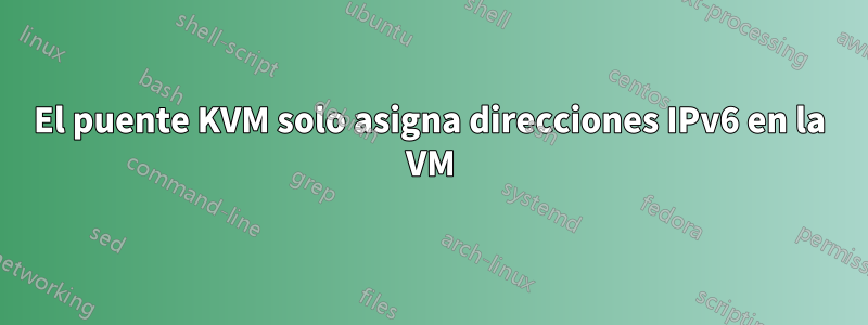 El puente KVM solo asigna direcciones IPv6 en la VM