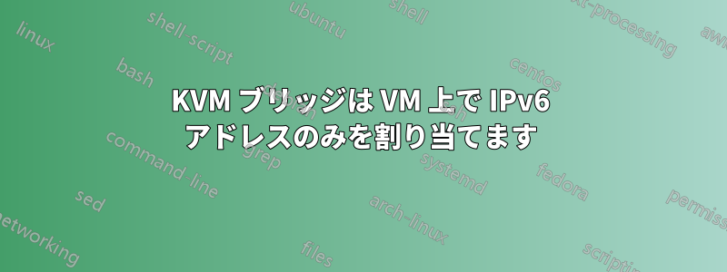 KVM ブリッジは VM 上で IPv6 アドレスのみを割り当てます
