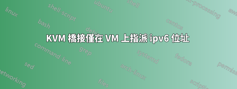 KVM 橋接僅在 VM 上指派 ipv6 位址