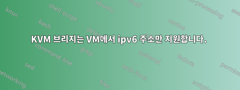 KVM 브리지는 VM에서 ipv6 주소만 지원합니다.