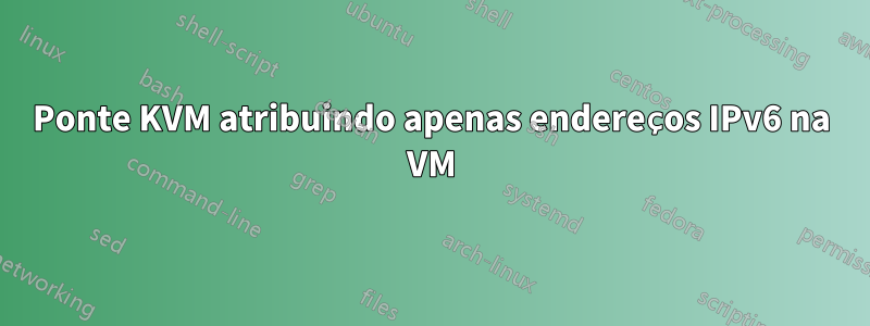 Ponte KVM atribuindo apenas endereços IPv6 na VM