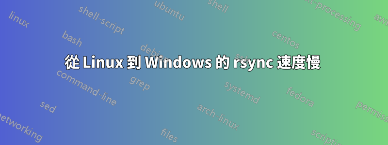 從 Linux 到 Windows 的 rsync 速度慢
