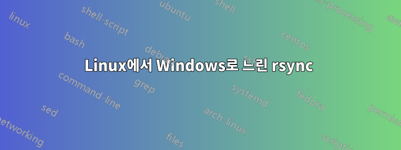 Linux에서 Windows로 느린 rsync