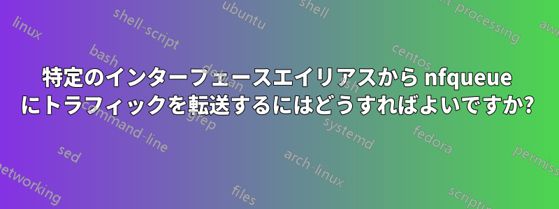 特定のインターフェースエイリアスから nfqueue にトラフィックを転送するにはどうすればよいですか?
