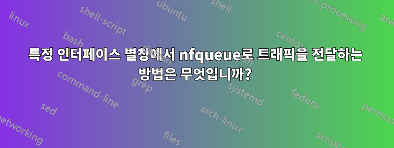 특정 인터페이스 별칭에서 nfqueue로 트래픽을 전달하는 방법은 무엇입니까?