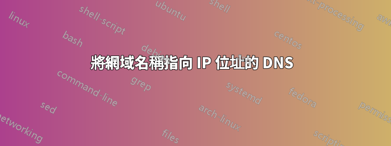 將網域名稱指向 IP 位址的 DNS 