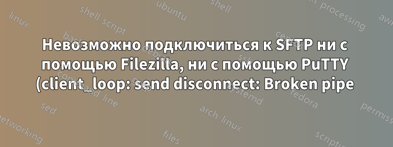 Невозможно подключиться к SFTP ни с помощью Filezilla, ни с помощью PuTTY (client_loop: send disconnect: Broken pipe)