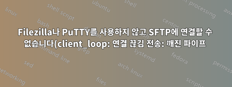 Filezilla나 PuTTY를 사용하지 않고 SFTP에 연결할 수 없습니다(client_loop: 연결 끊김 전송: 깨진 파이프).