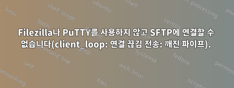 Filezilla나 PuTTY를 사용하지 않고 SFTP에 연결할 수 없습니다(client_loop: 연결 끊김 전송: 깨진 파이프).