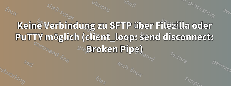 Keine Verbindung zu SFTP über Filezilla oder PuTTY möglich (client_loop: send disconnect: Broken Pipe)