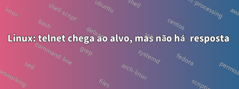 Linux: telnet chega ao alvo, mas não há resposta