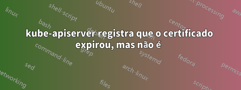 kube-apiserver registra que o certificado expirou, mas não é