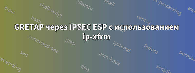 GRETAP через IPSEC ESP с использованием ip-xfrm