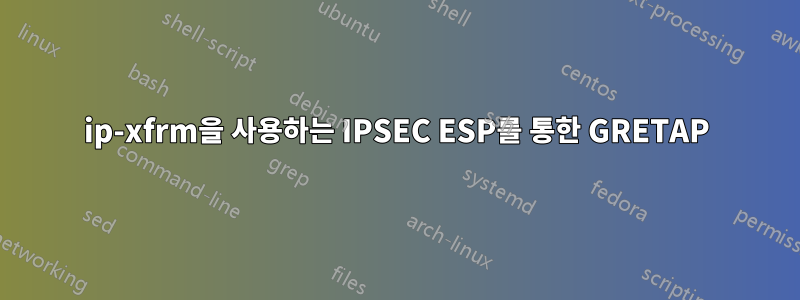 ip-xfrm을 사용하는 IPSEC ESP를 통한 GRETAP