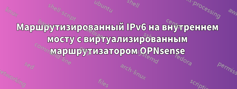 Маршрутизированный IPv6 на внутреннем мосту с виртуализированным маршрутизатором OPNsense