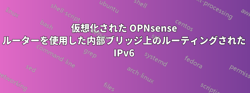 仮想化された OPNsense ルーターを使用した内部ブリッジ上のルーティングされた IPv6