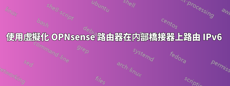 使用虛擬化 OPNsense 路由器在內部橋接器上路由 IPv6
