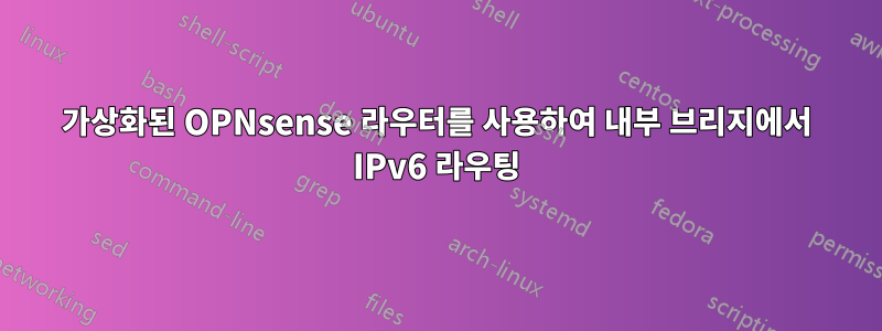 가상화된 OPNsense 라우터를 사용하여 내부 브리지에서 IPv6 라우팅