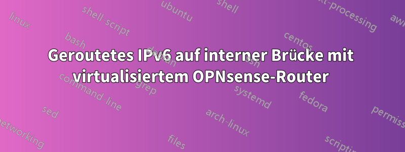 Geroutetes IPv6 auf interner Brücke mit virtualisiertem OPNsense-Router