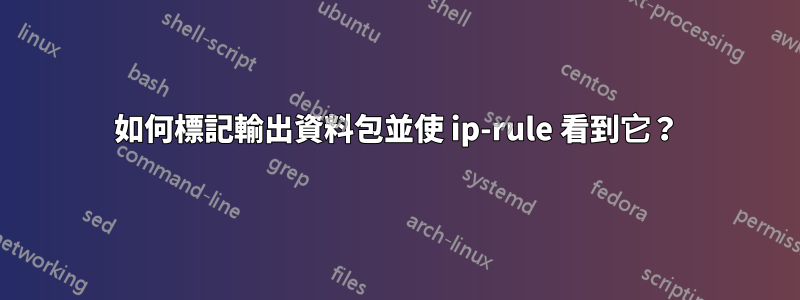 如何標記輸出資料包並使 ip-rule 看到它？
