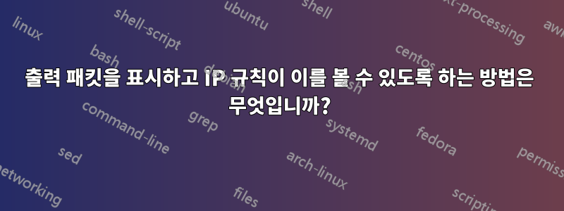 출력 패킷을 표시하고 IP 규칙이 이를 볼 수 있도록 하는 방법은 무엇입니까?